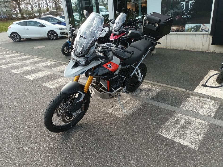 TRIUMPH TIGER 900 RALLY PRO